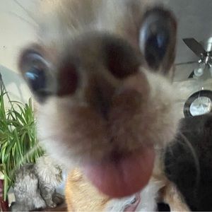 Meet your Posher, Mari